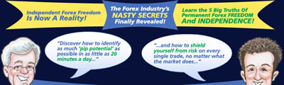 forex nitty gritty image