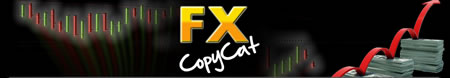 fx copycat banner
